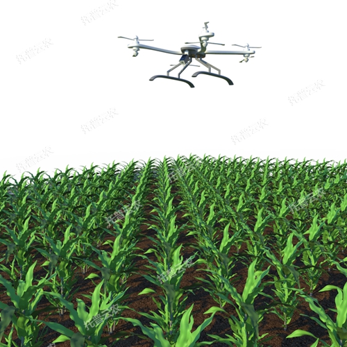 無人機田間高通量植物表型采集分析平臺